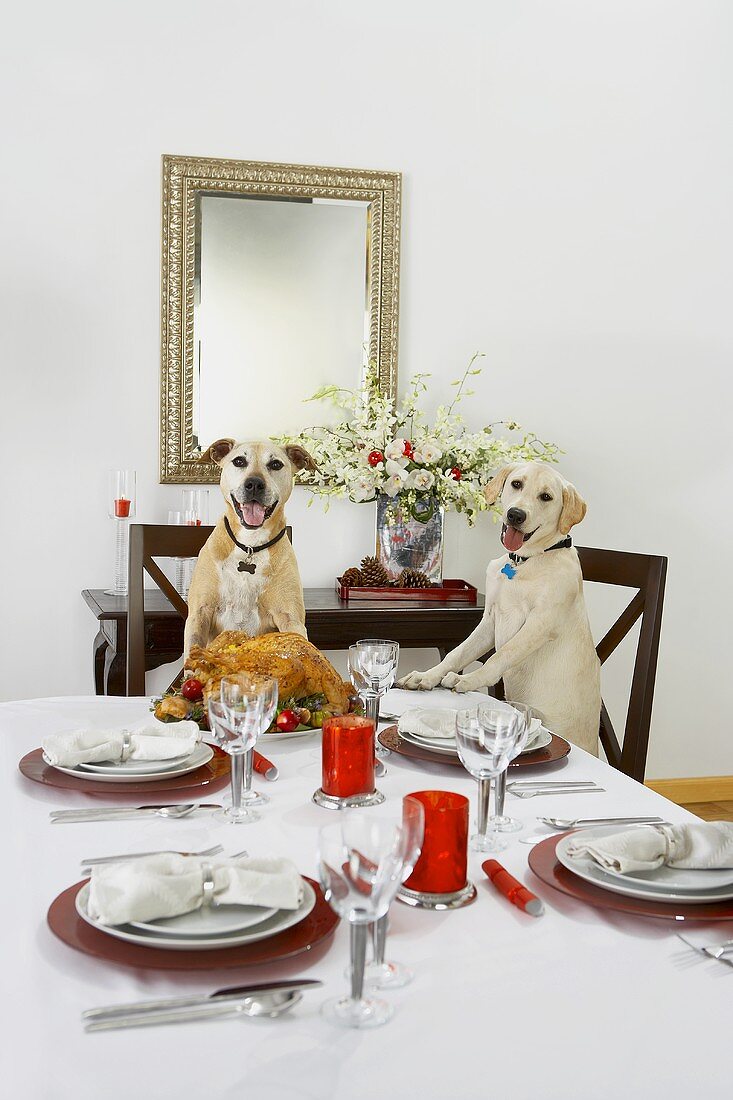 Two Dogs Sitting at a Set Christmas Table
