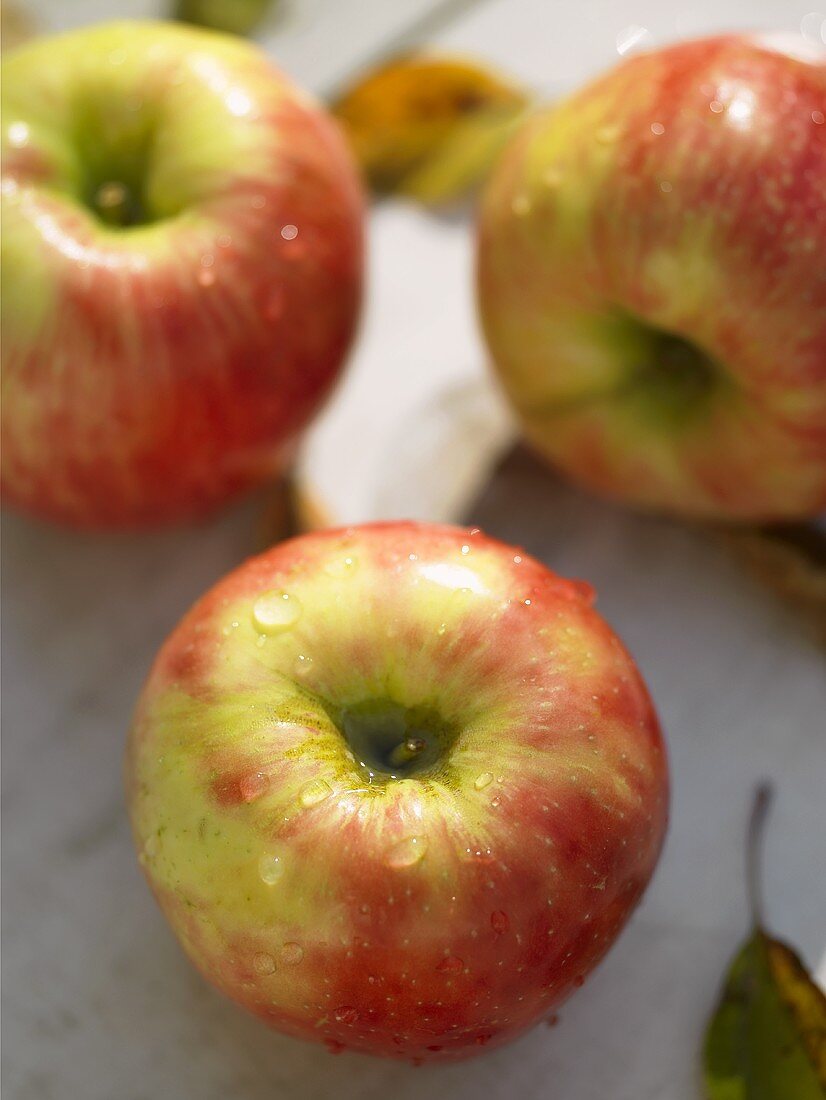 Braeburn apples with drops of water