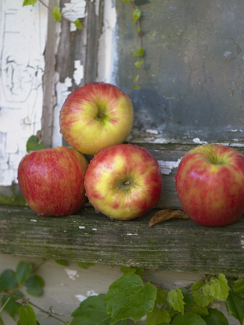 Vier Braeburn Äpfel auf rustikalem Fensterbrett