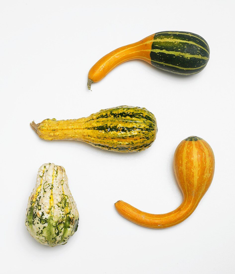 Four Assorted Gourds on a White Background