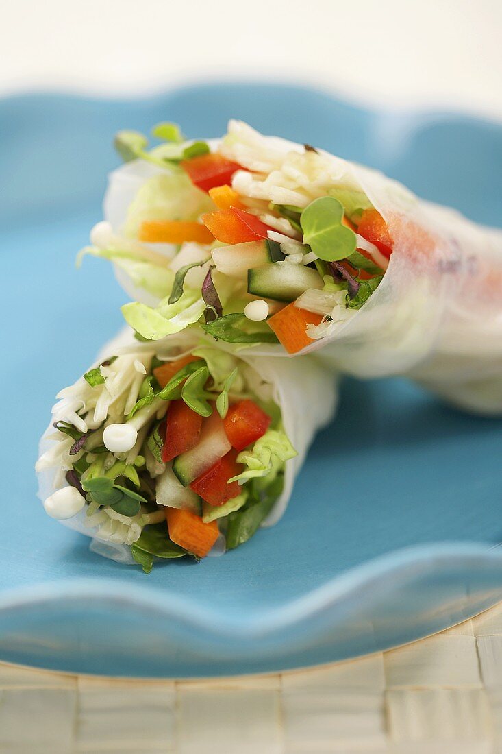 Two Fresh Vegetable Spring Rolls in Rice Paper