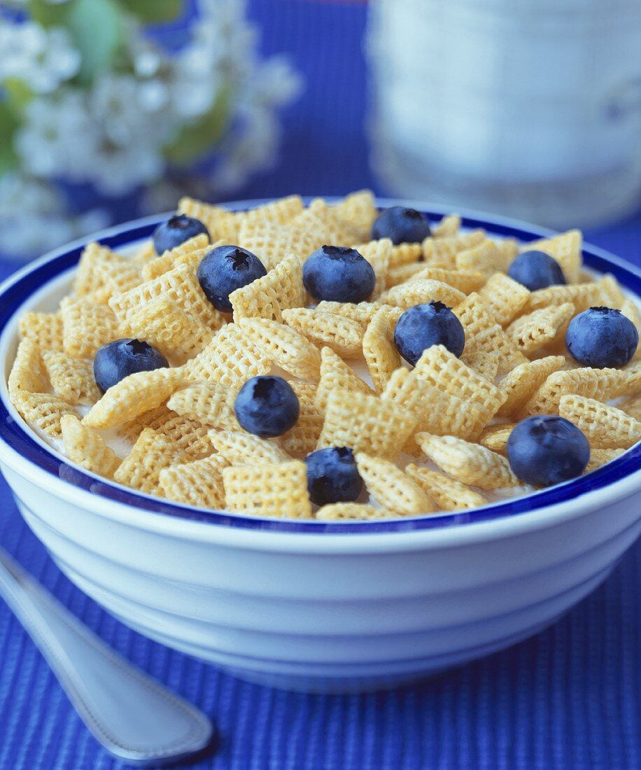 Bowl of Corn Cereal with Blueberries and Milk