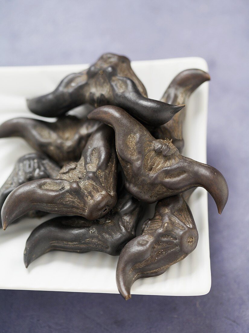 Pile of Water Caltrop in Shell on a Plate
