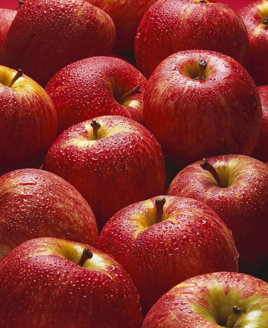 Viele Braeburn Äpfel mit Wassertropfen (bildfüllend)