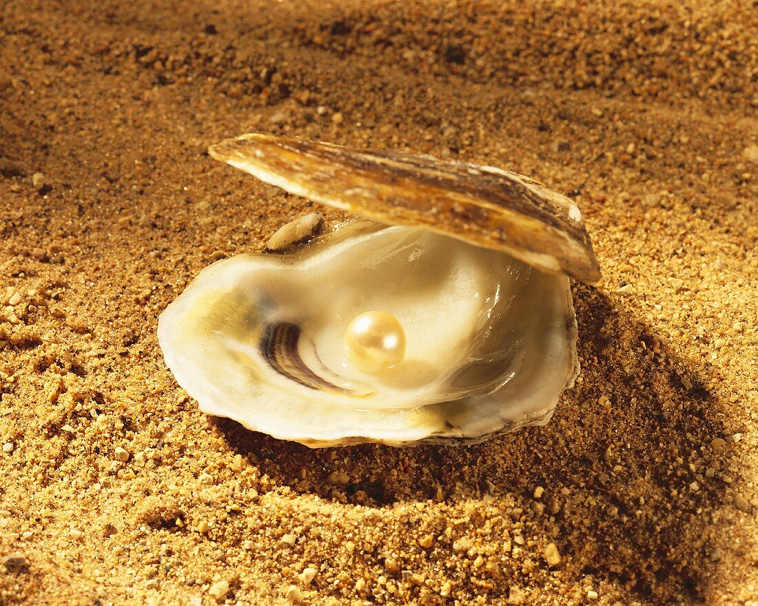 Geöffnete Auster mit Perle im Sand
