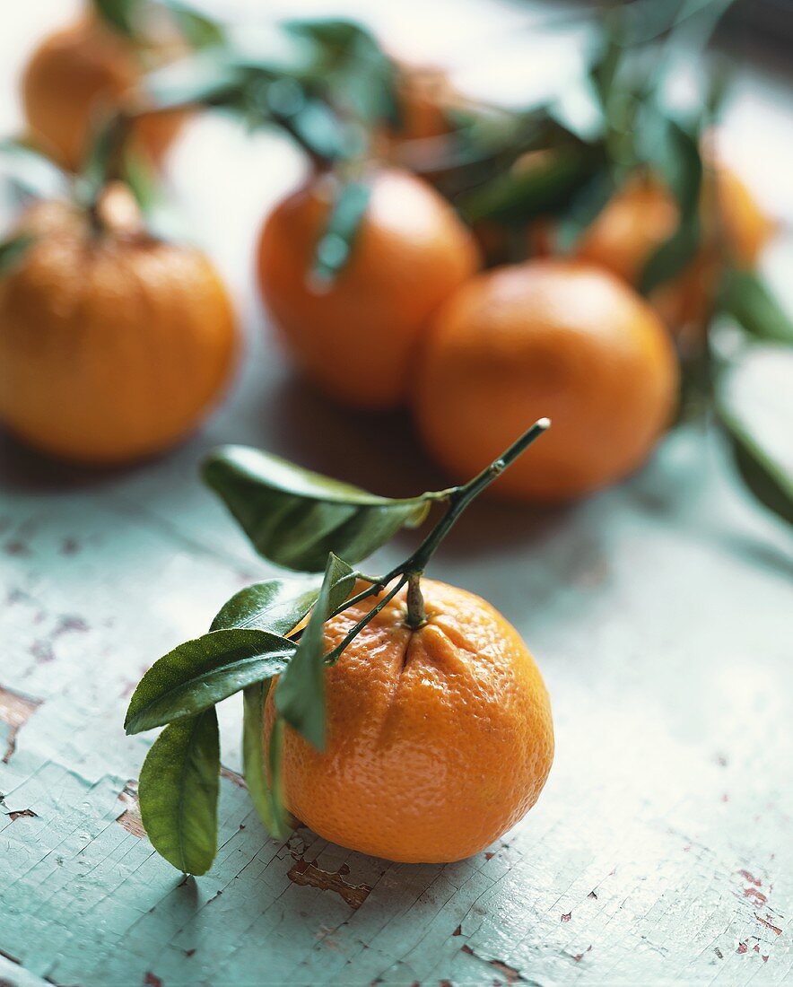 Mehrere Tangerinen mit Stiel und Blättern