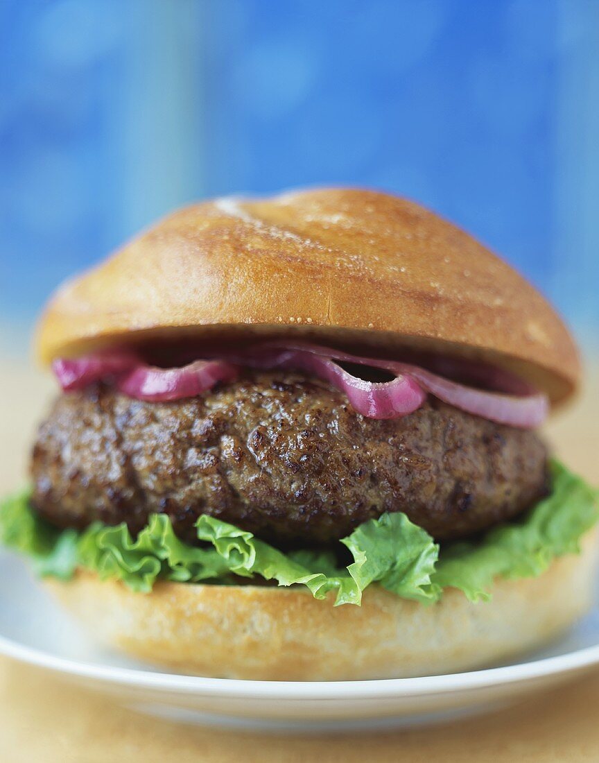 Close Up of a Hamburger on Bun with Red Onion and Lettuce