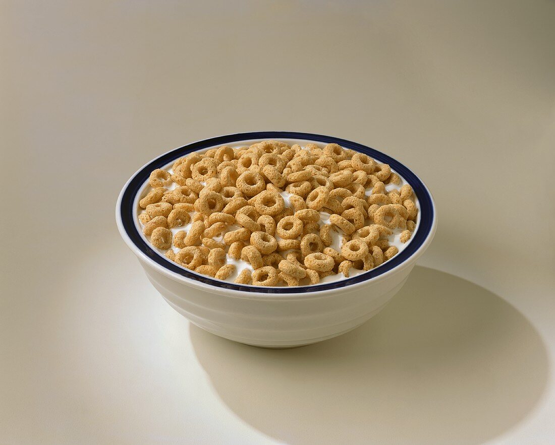 Bowl of o Shaped Cereal with Milk