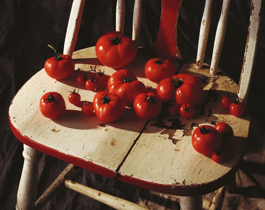 Assorted Red Tomatoes on a Rustic Chair