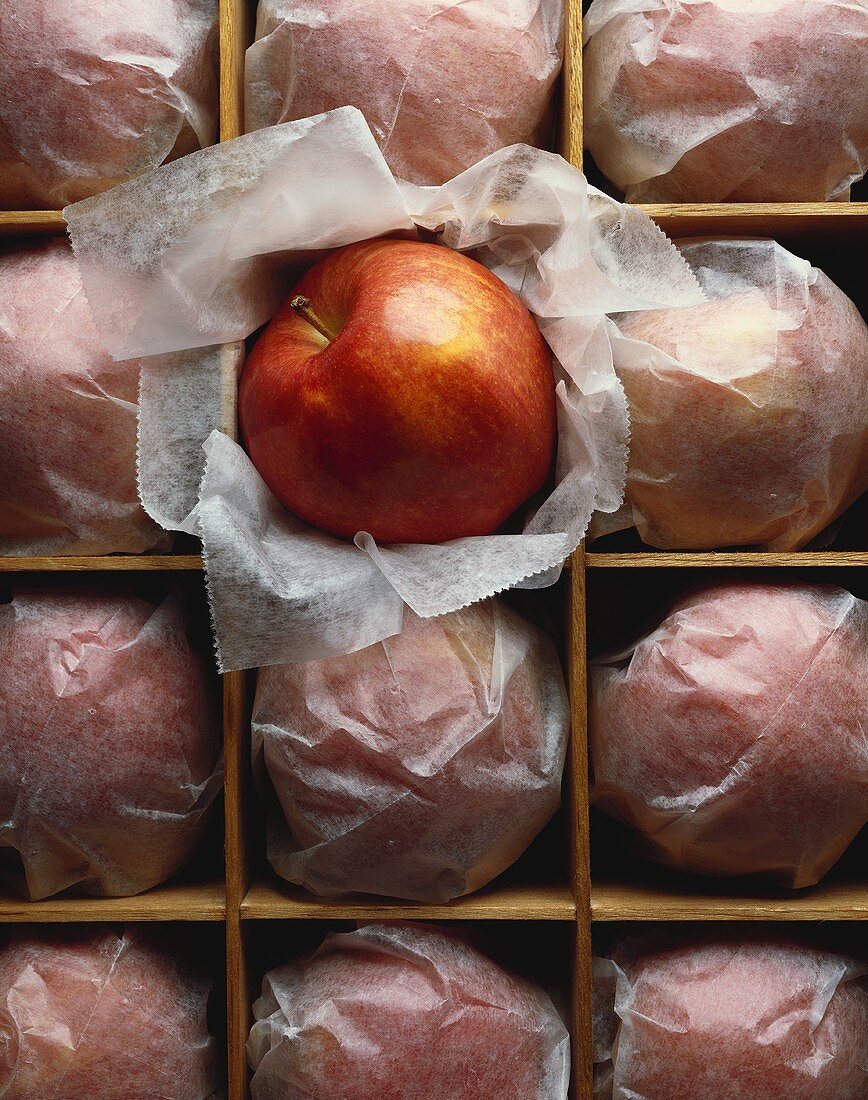 Many Apples Wrapped in Paper in a Crate with One Cameo Apple Unwrapped