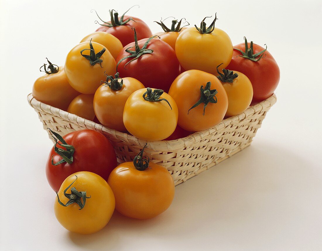 Gelbe und rote Tomaten im Korb