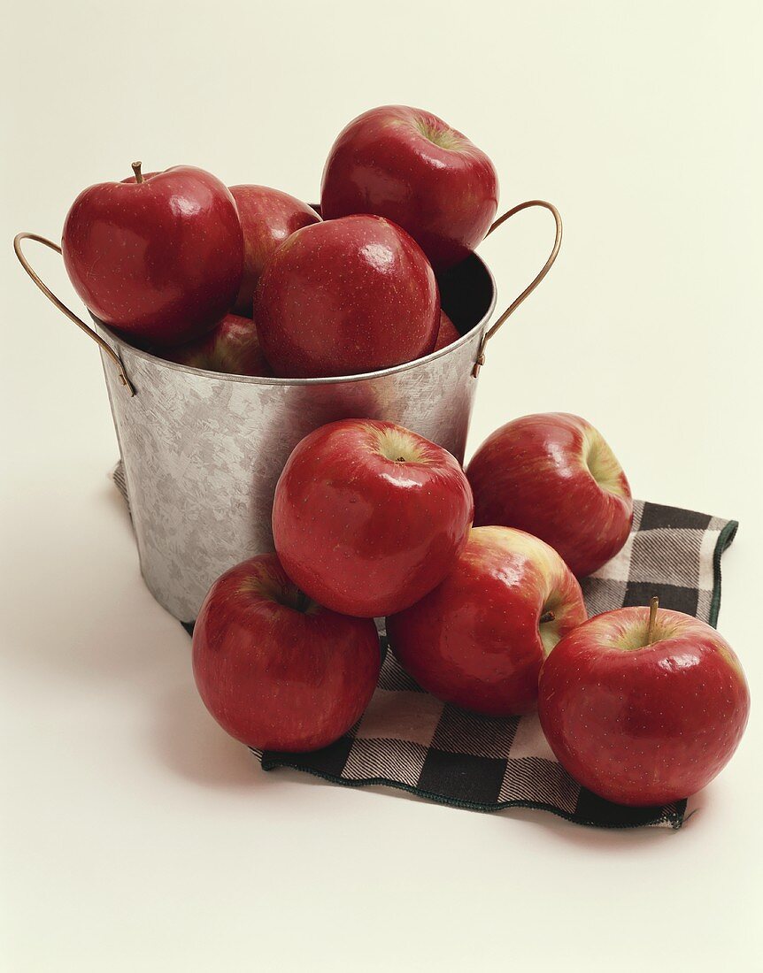 Red Apples in a Metal Pail and on a Green Checked Cloth