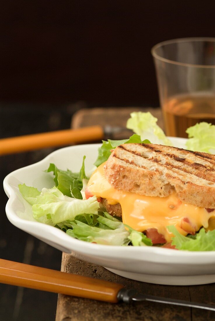 Grilled Cheese and Tomato Sandwich on a Plate with Lettuce