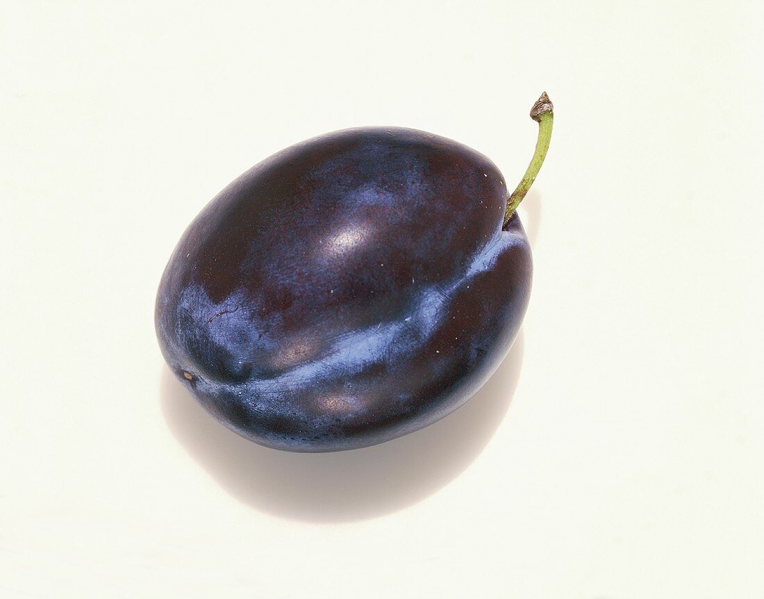 A Single Plum on a White Background