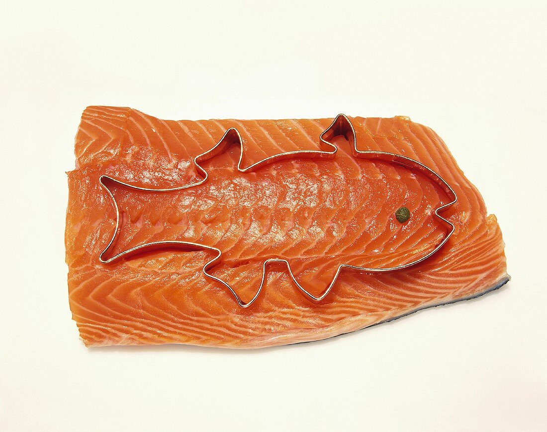 Salmon Fillet with a Fish Cookie Cutter; White Background