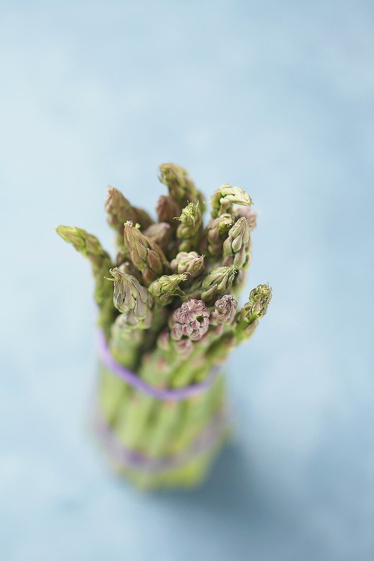 Bundle of Asparagus Standing