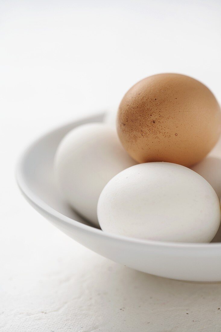weiße Eier und braunes Ei in weisser Schale