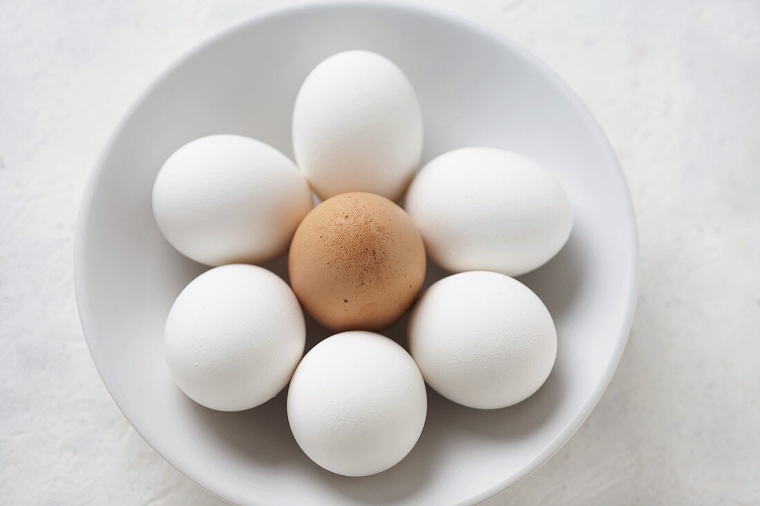 Sechs weiße Eier und ein braunes Ei in weisser Schale