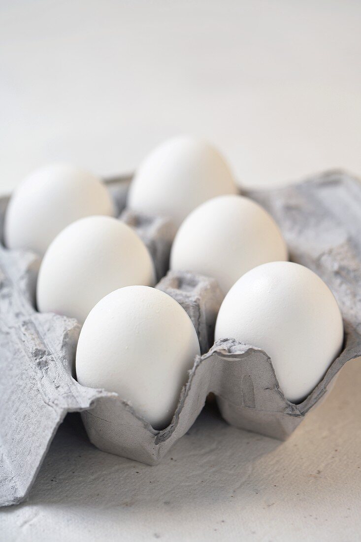 Sechs weiße Eier im Eierkarton