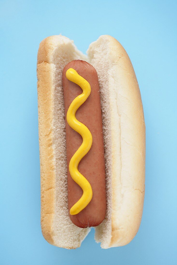 Hot Dog mit Senf auf blauem Untergrund