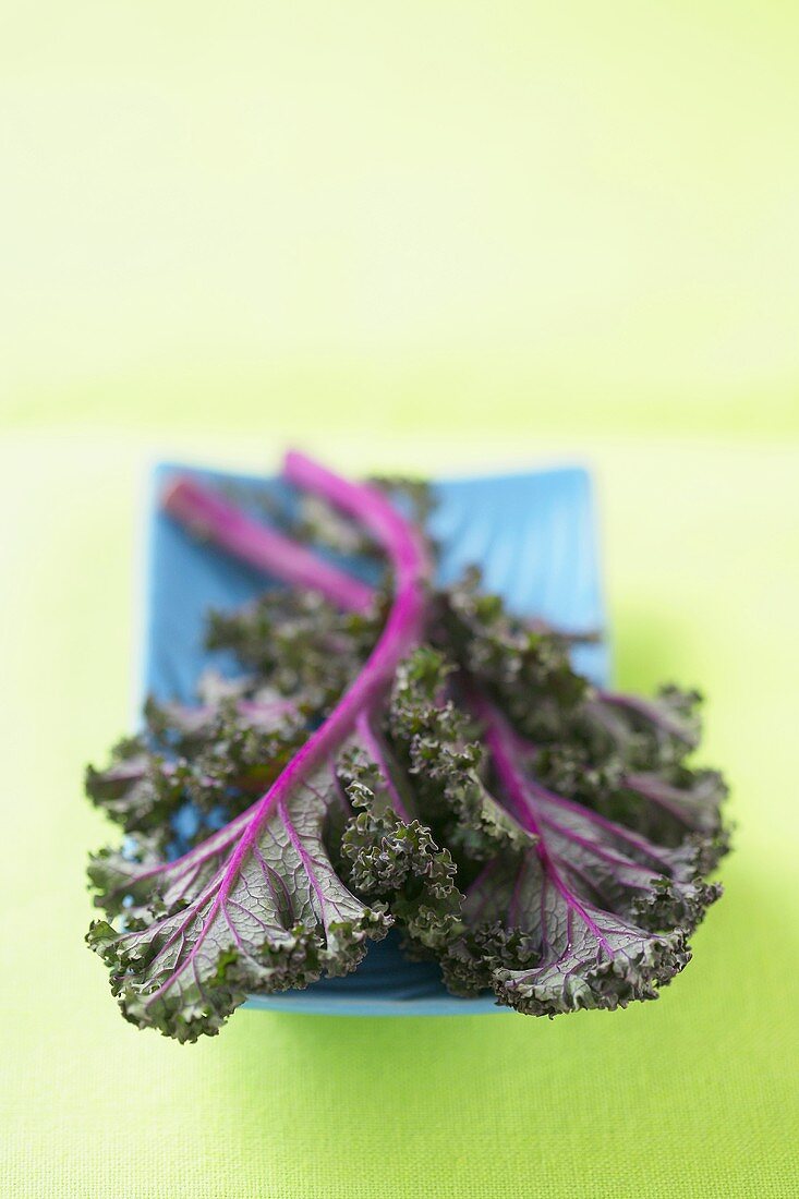 Two Red Kale Leaves on a Blue Dish