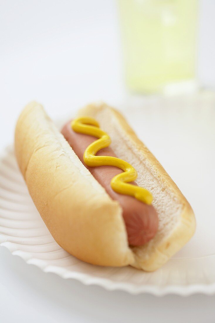 Hot Dog mit Senf auf Pappteller