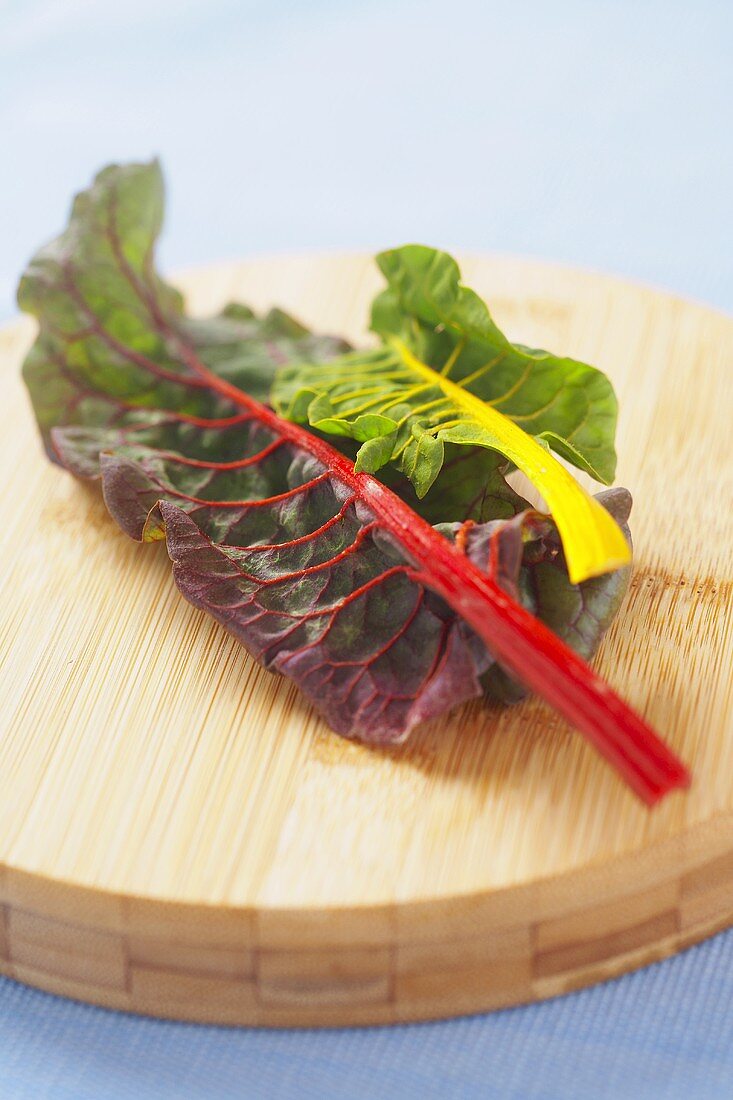 Two Swiss Chard Leaves, Red and Yellow on a Cutting Board