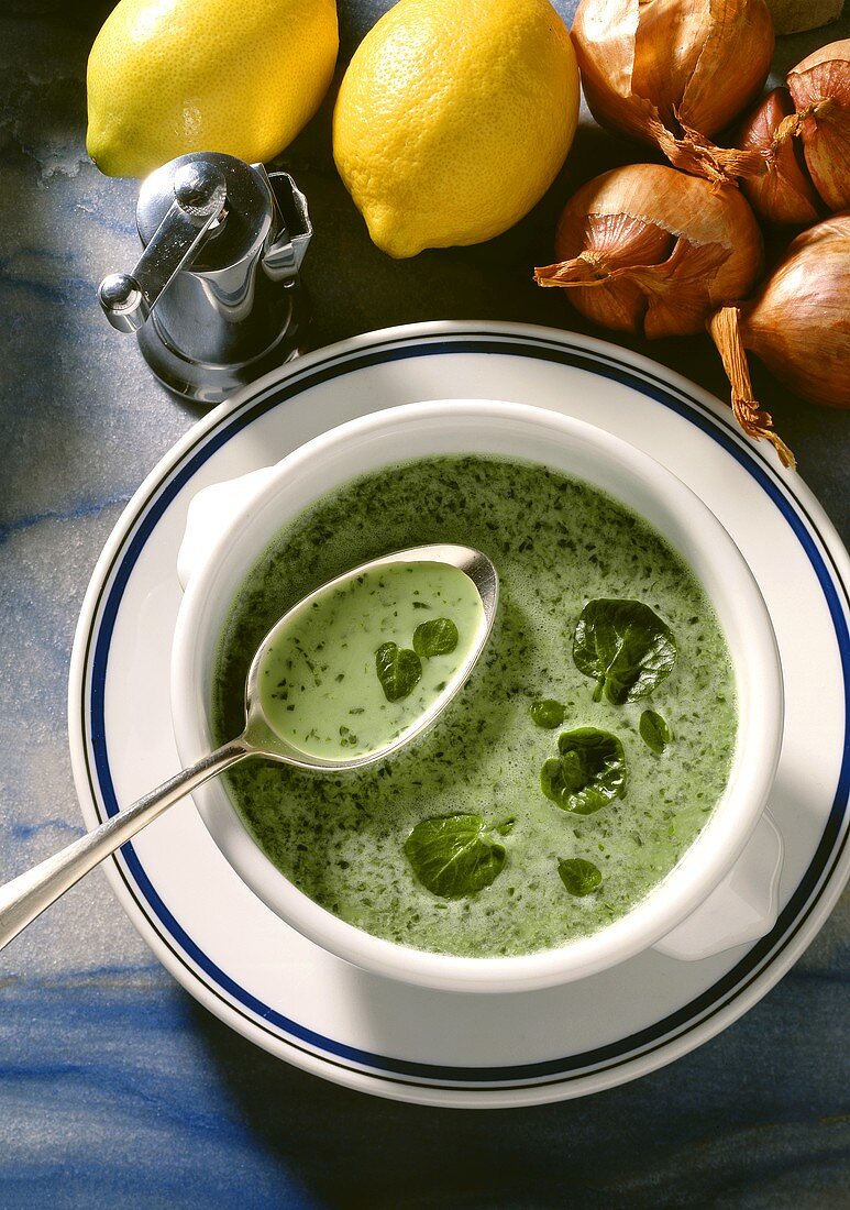 Watercress Soup