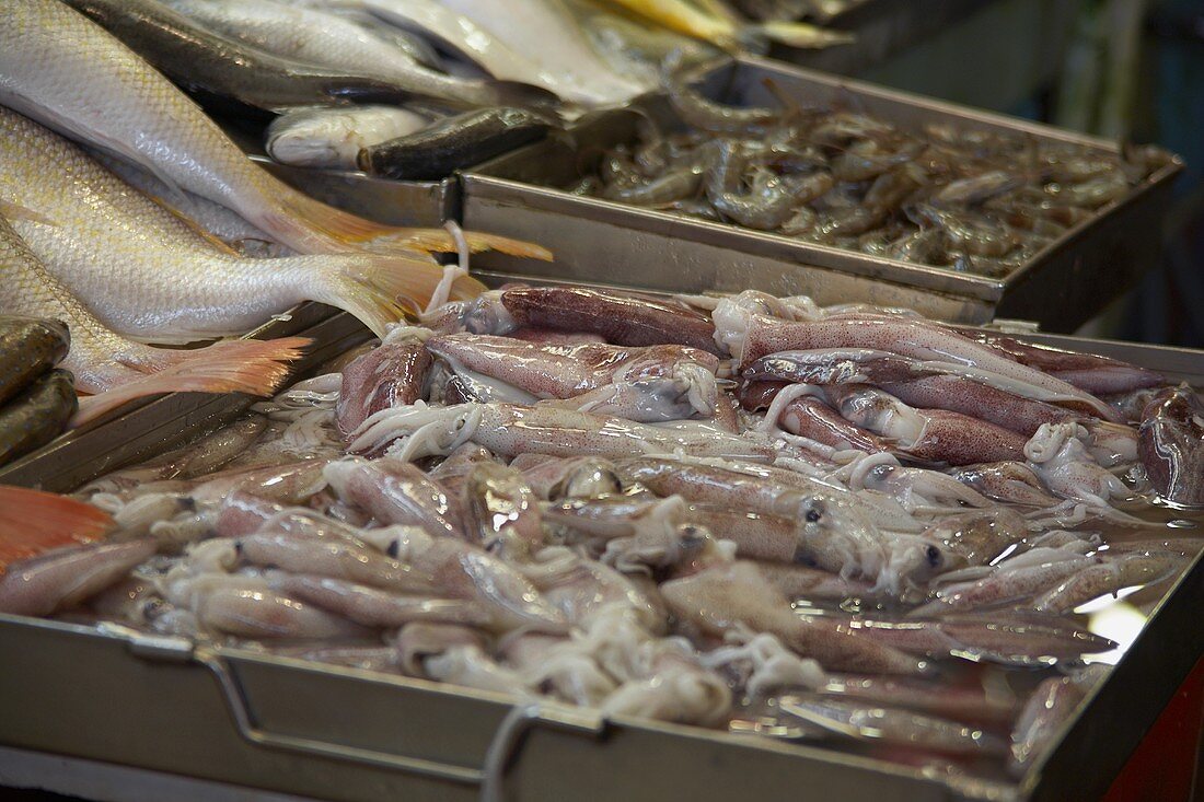 Tintenfische auf einem Fischmarkt in Asien