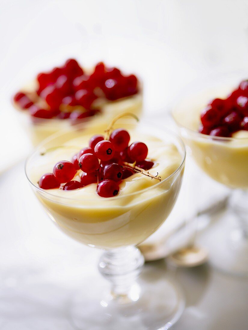 Vanilla Pudding with Red Currants