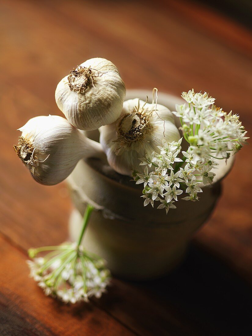 Fresh Garlic Bulbs in a Pestle with Flowers
