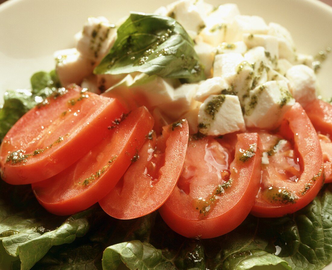 Tomaten mit Mozzarella und Basilikum auf Romanasalat