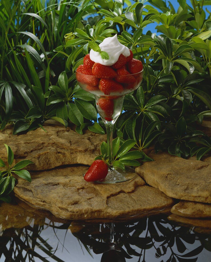 Frische Erdbeeren mit Sahne im Glas am Ufer eines Teichs