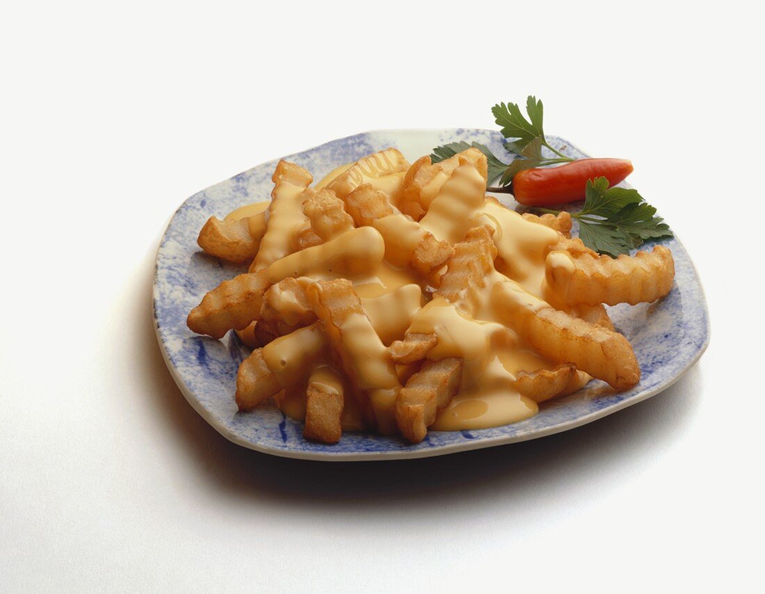 Plate of Cheese Fries on a White Background