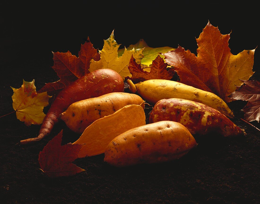 Süsskartoffeln mit herbstlichen Blättern