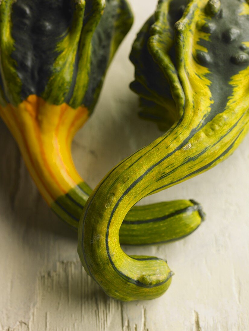 Two Whole Organic Gourds on Table