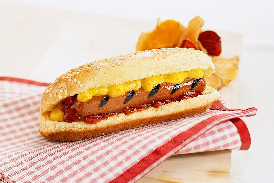 Grilled Hotdog on a Bun with Mustard and Ketchup