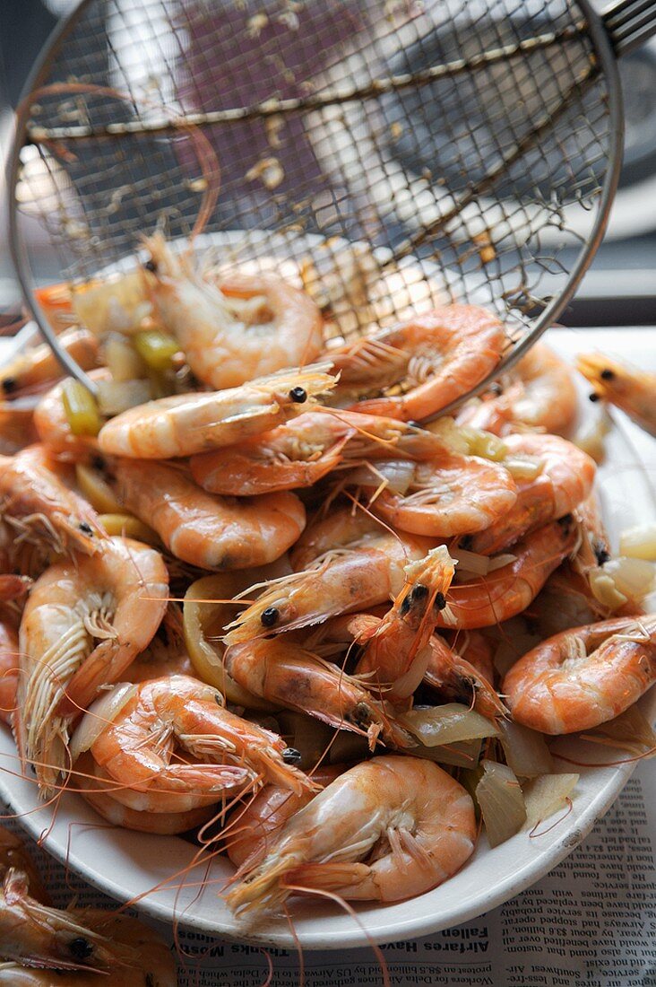 Wire Scoop Piling Whole Boiled Shrimp onto a Platter