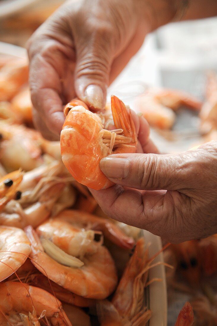 Close Up of Hands Peeling Boiled Shrimp