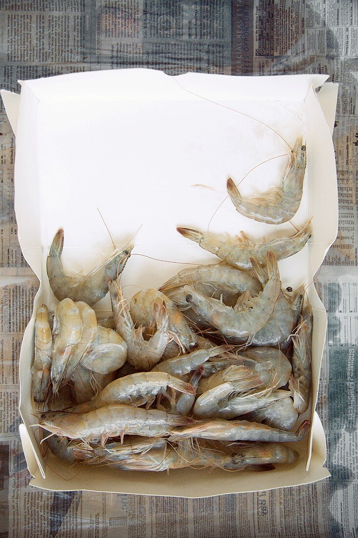Opened Cardboard Box of Fresh Whole Shrimp