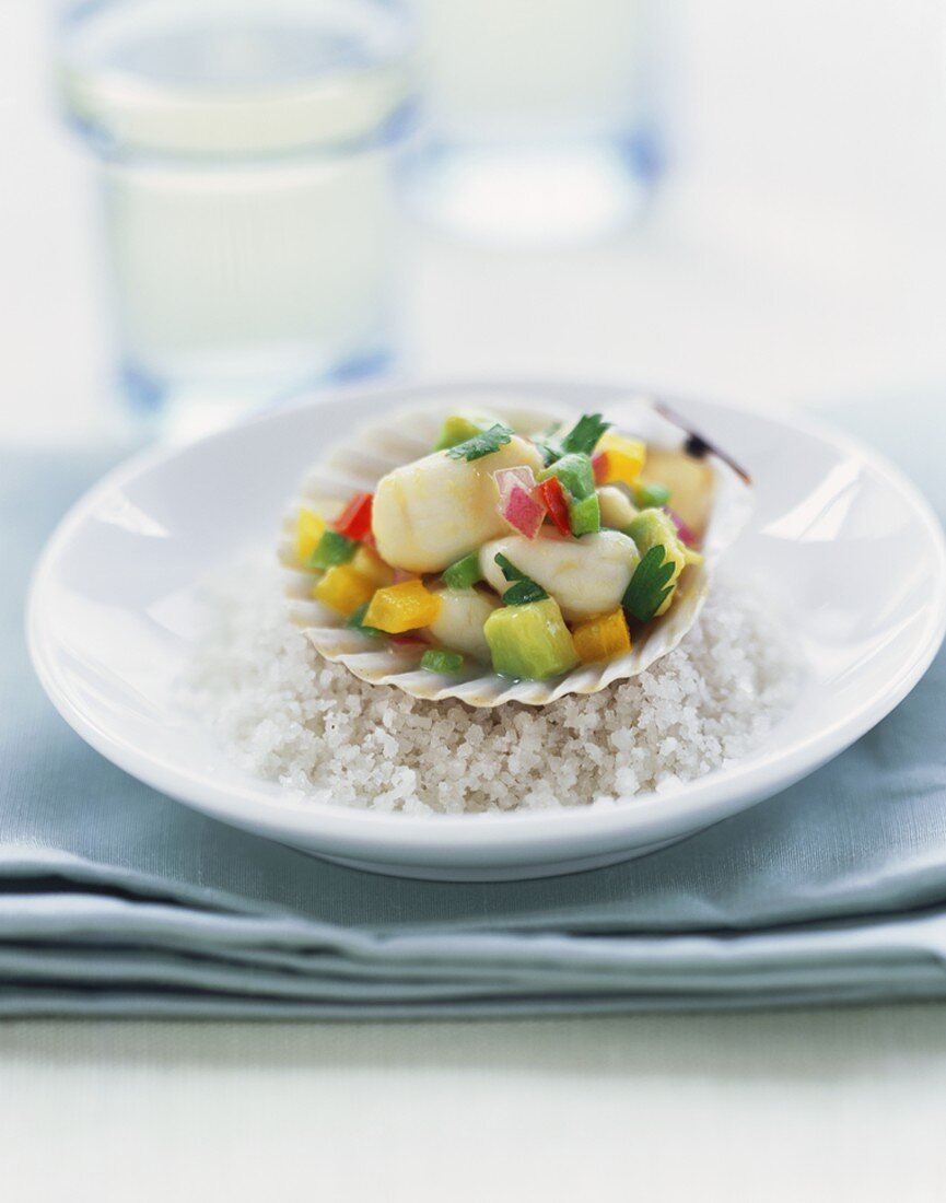 Jakobsmuschel-Ceviche in der Muschelschale