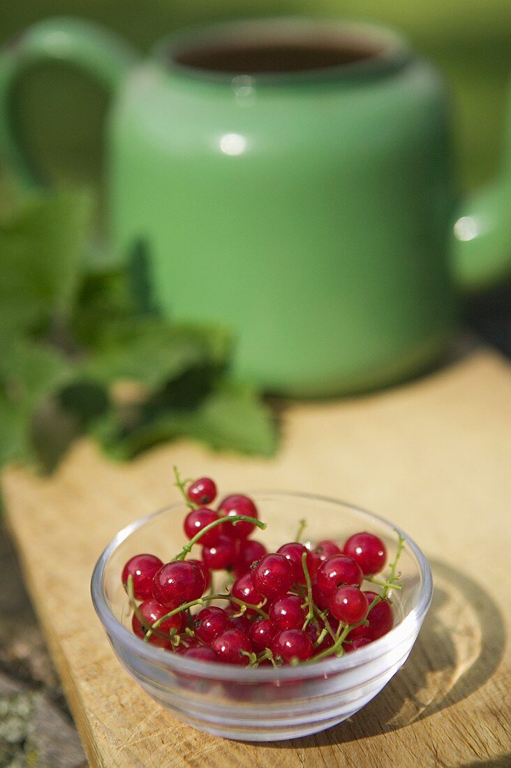 Small Glass Bowl of Red Currants on an Outdoor Table