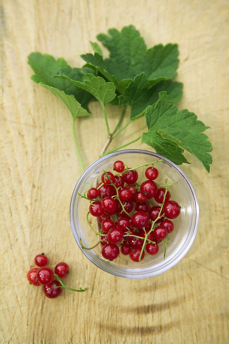 Overhead of a Bowl of Red Currants