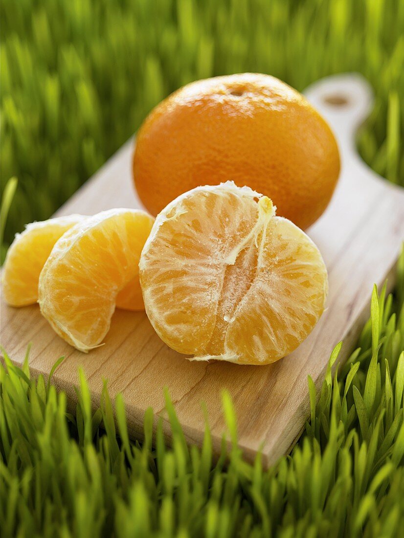 Peeled and Unpeeled Clementine on a Cutting Board in the Grass