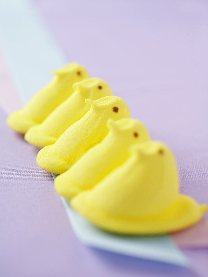 Reihe von gelben Marshmallow-Küken