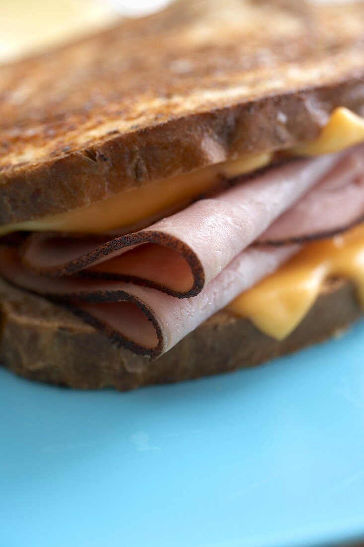 Close Up of a Grilled Ham and Cheese Sandwich