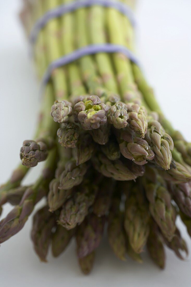 Bund grüner Spargel