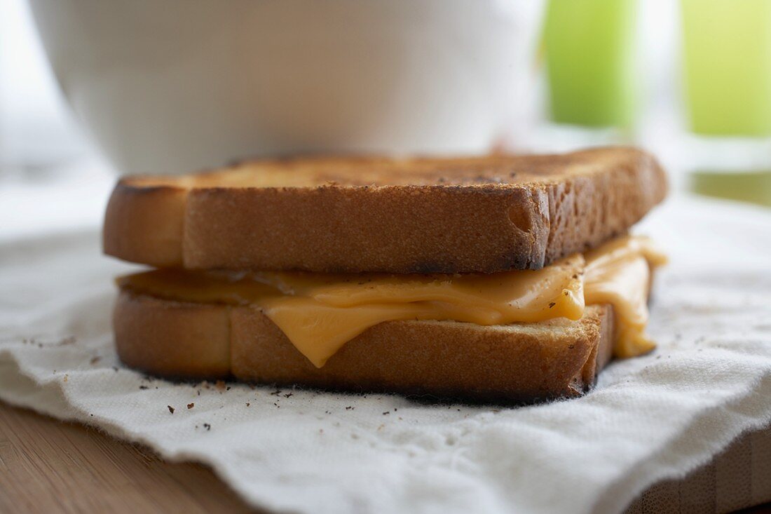 A Grilled Cheese Sandwich