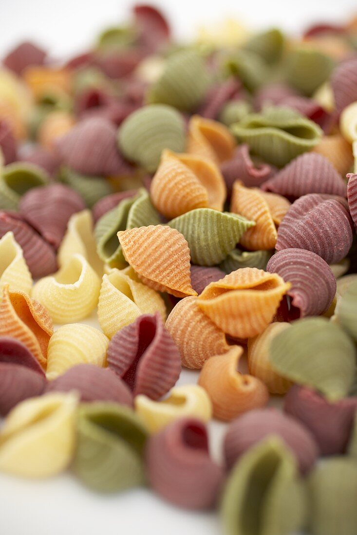 Organic Multi-Colored Shell Pasta