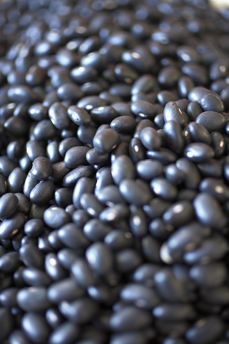 Many Organic Black Beans